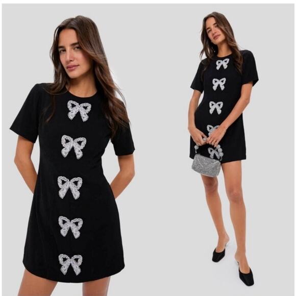 NWT Tuckernuck Hyacinth House Bernadette Mini Dress Large - Picture 1 of 8